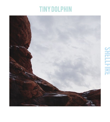 Tiny Dolphin - Shellfire